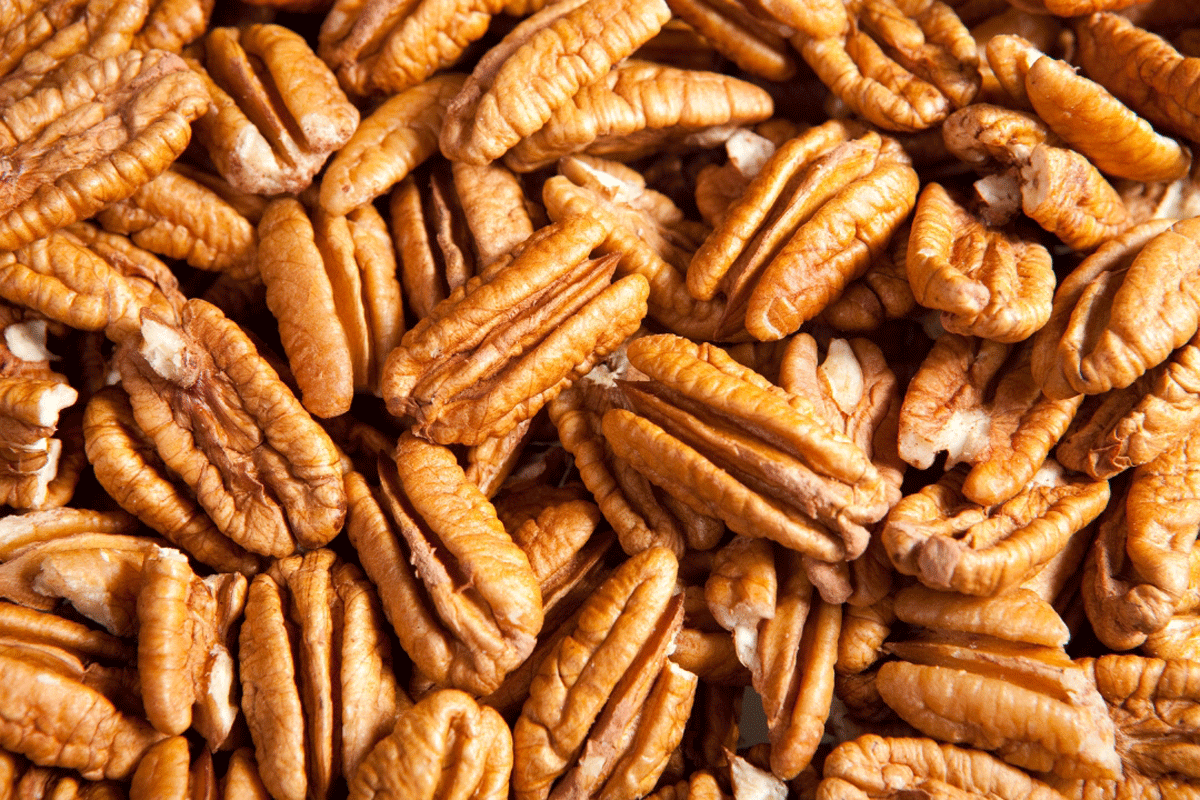 The Benefits of Sprouted Pecans A Complete Nutritional Breakdown – Rich Nuts